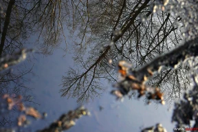 Магия солнечного дня посреди серого декабря